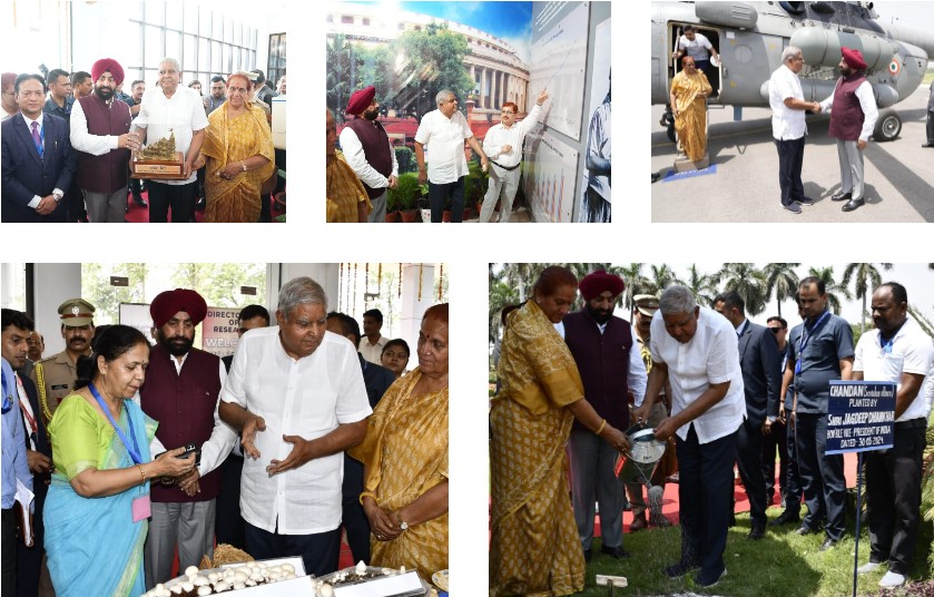 पंतनगर एयरपोर्ट पहुँचने पर उप-राष्ट्रपति धनखड़ का हुआ जोरदार स्वागत। उन्होंने किसानों को और अधिक लाभ लेने के लिए दिए टिप्स