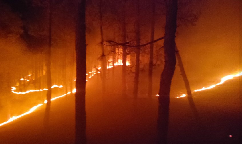 यहाँ जंगल में आग के तांडव को फायर सर्विस टीम ने किया शांत, मुख्य सड़क तक पहुँचने ही वाली थे आग