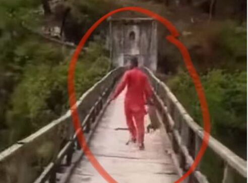 (कब सुधरेंगे) कुत्ते को पुल से नीचे नदी में फेंका फिर बनाया विडियो, अब युवक के खिलाफ मुकदमा दर्ज