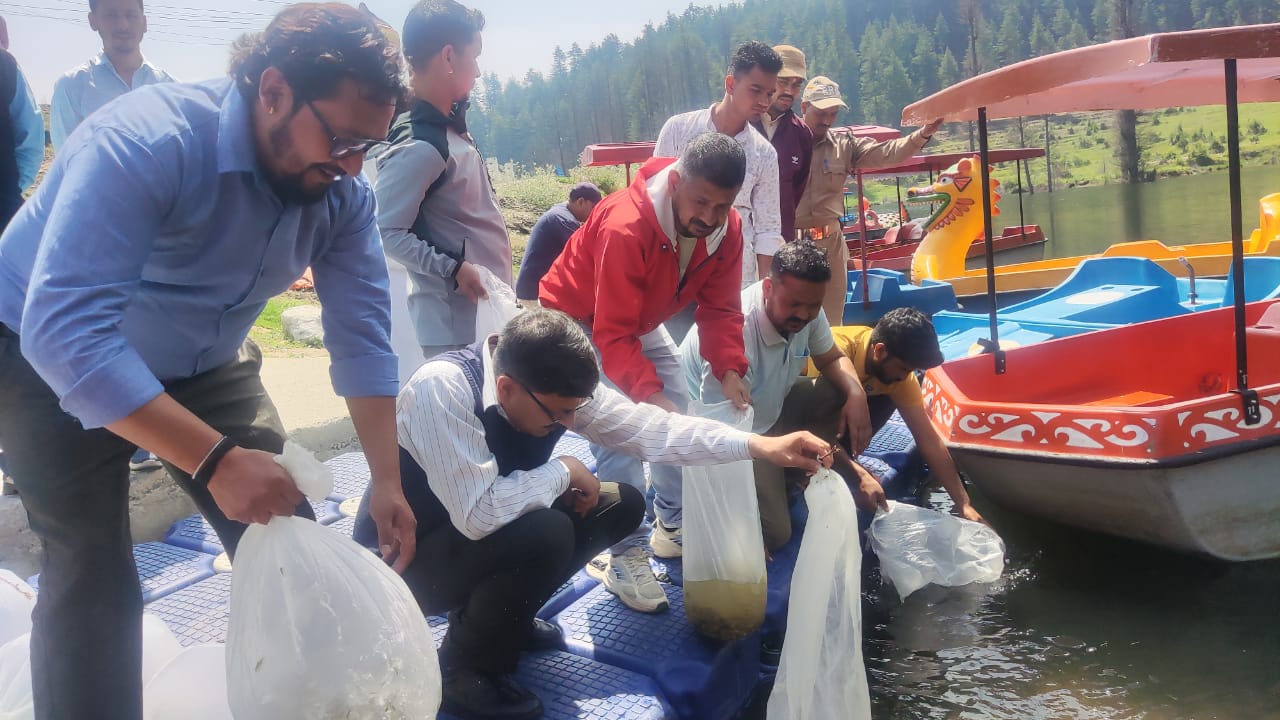 (लोहाघाट) कोलिढेक झील में मत्स्य विभाग ने कई प्रजातियों के 1 लाख मत्स्य बीज डाले, प्राकृतिक सुंदरता और पारिस्थितिकी तंत्र के लिए होगी लाभकारी