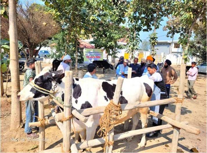 बिशनपुरी (खमरिया) में कृषक प्रशिक्षण एवं पशु स्वास्थ्य शिविर आयोजित